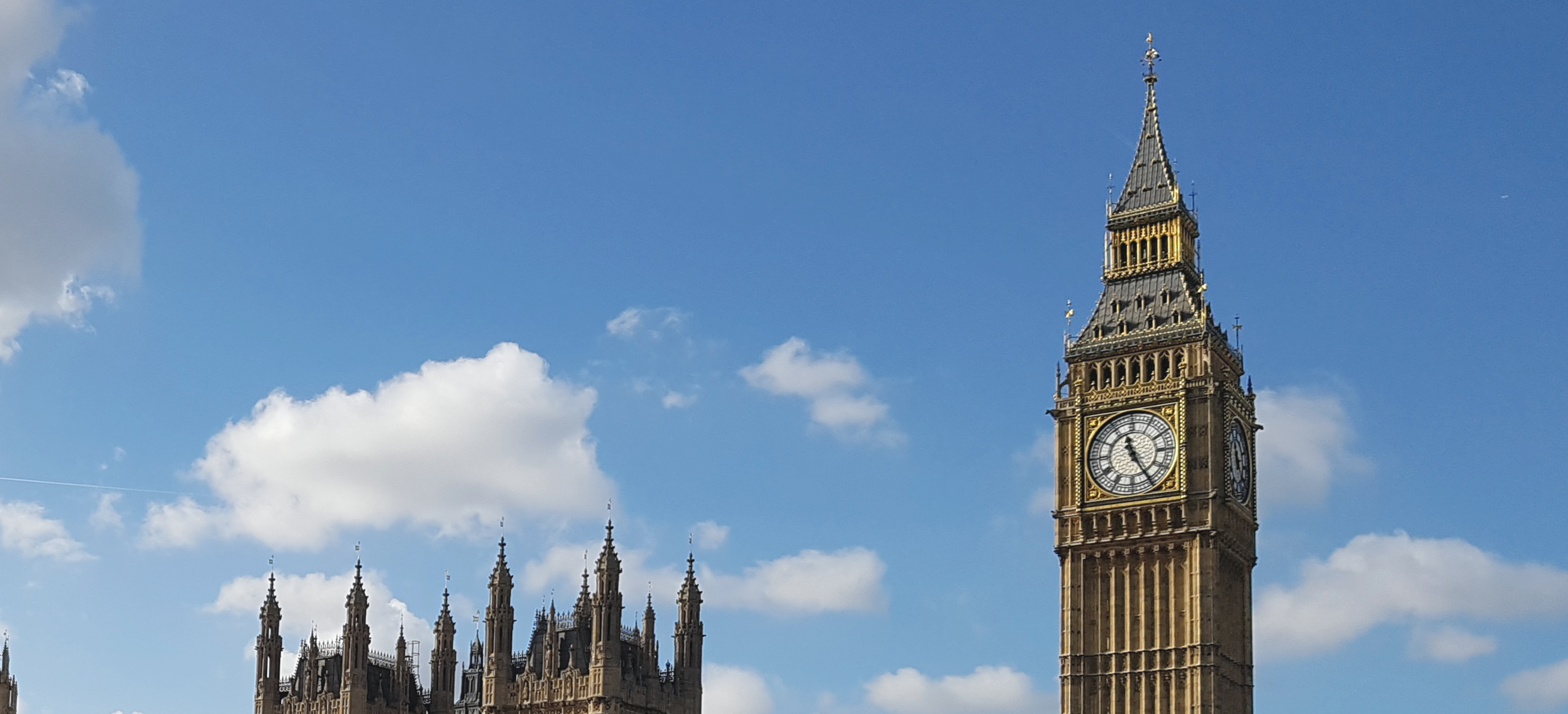 International University Campus